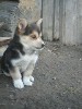 marysa_205798.jpg