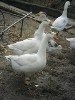 marysa_215840.jpg