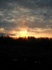 marysa_310178.jpg
