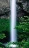 mezinoff2012_211376.jpg