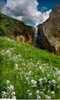 mezinoff2012_499083.jpg