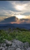 mezinoff2012_634150.jpg