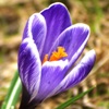 milashka20_998954.jpg