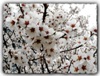 natalii_690687.jpg