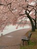 natalii_700326.jpg