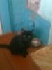 sasha_299549.jpg