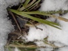 valyshka_228078.jpg