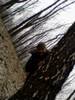 valyshka_379366.jpg