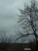 valyshka_673396.jpg