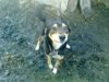 vitalic401_115615.jpg