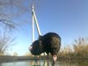 vitalic401_914285.jpg