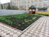 zajka008_197073.jpg