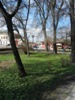 zajka008_251466.jpg
