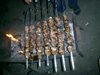 zajka008_269617.jpg