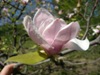 zajka008_273586.jpg