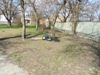 zajka008_290243.jpg