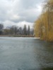 zajka008_386918.jpg