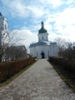 zajka008_440211.jpg
