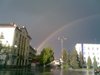 zajka008_540828.jpg