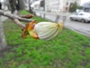 zajka008_603603.jpg