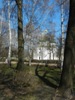 zajka008_699150.jpg