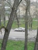 zajka008_791930.jpg