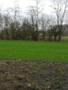 zajka008_801609.jpg