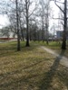 zajka008_956660.jpg