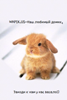 POMAHTUK89_360402.png