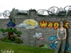 Vishenka_370425.jpg