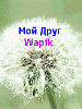 Zhenya_373421.gif