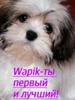 lilia2007_554364.jpg