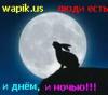 sixxx_352607.jpg