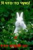 sixxx_623591.jpg